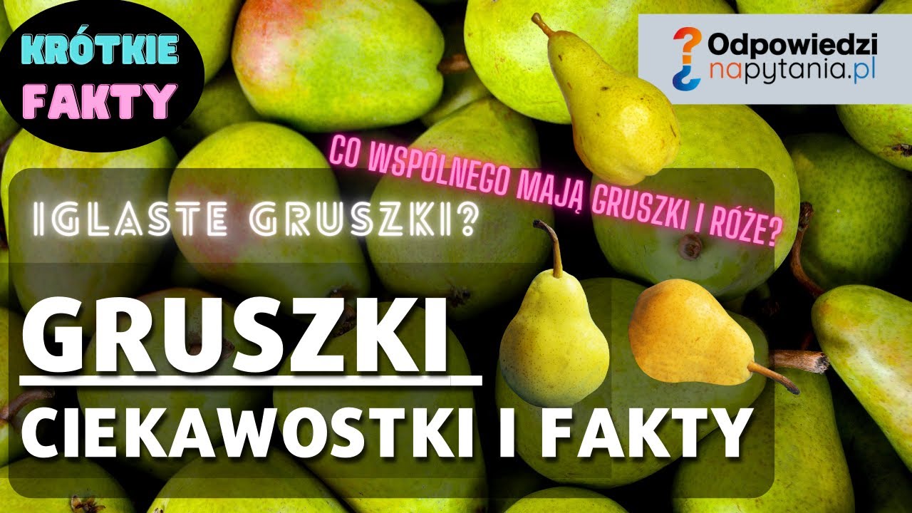 Gruszki - Boski Dar Czy Owoc Grzeszny? Ciekawostki, Tajemnice i Fakty