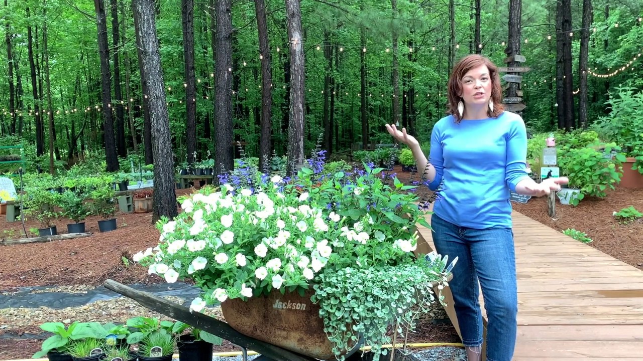 Creating a Beautiful Garden in a Wheelbarrow // Gardening with Creekside