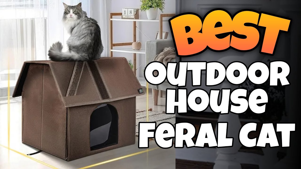 TOP 3:✅BEST OUTDOOR FERAL CAT HOUSE 2025-2027 #cathouse #feralcats #housecats #pethouse #feralcat 