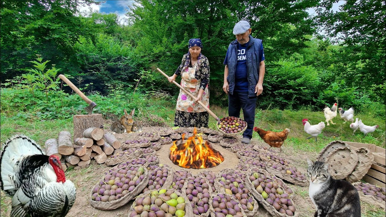 Сушим Фрукты по Старому Способу на Зиму. Очень Интересный Способ.