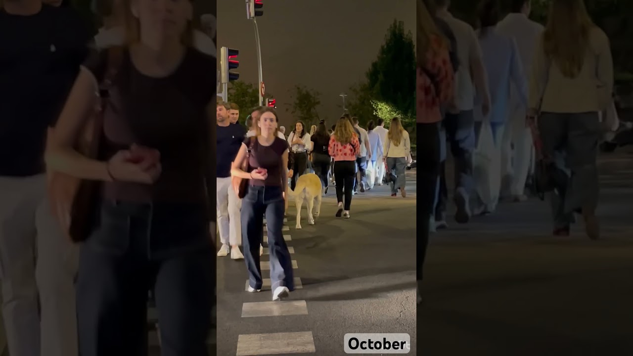 CROWDED STREET IN SPAIN  WALKING WITH MY DOG #shorts
