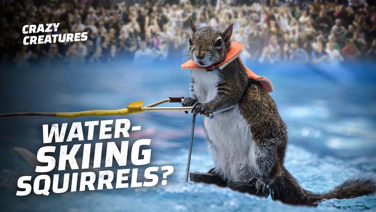 These Animals Have the Craziest Jobs Ever