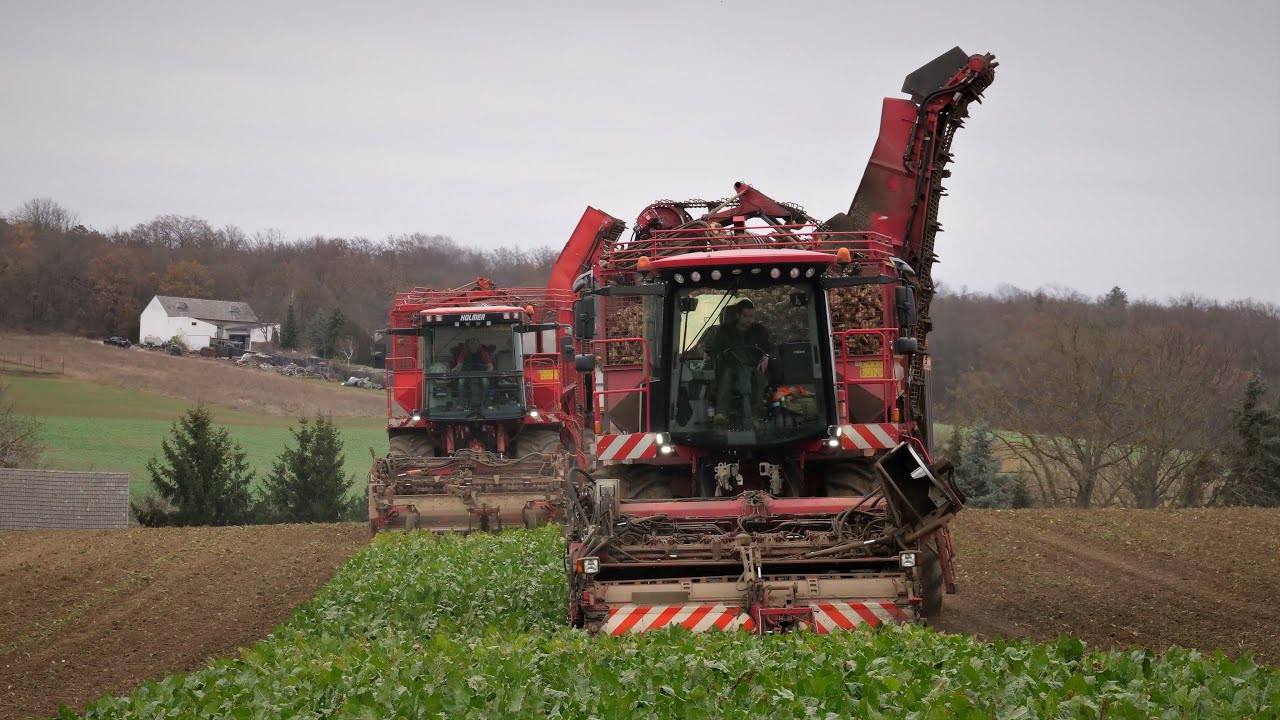 2x Holmer auf einen Schlag: Holmer t4-30 & Holmer T2