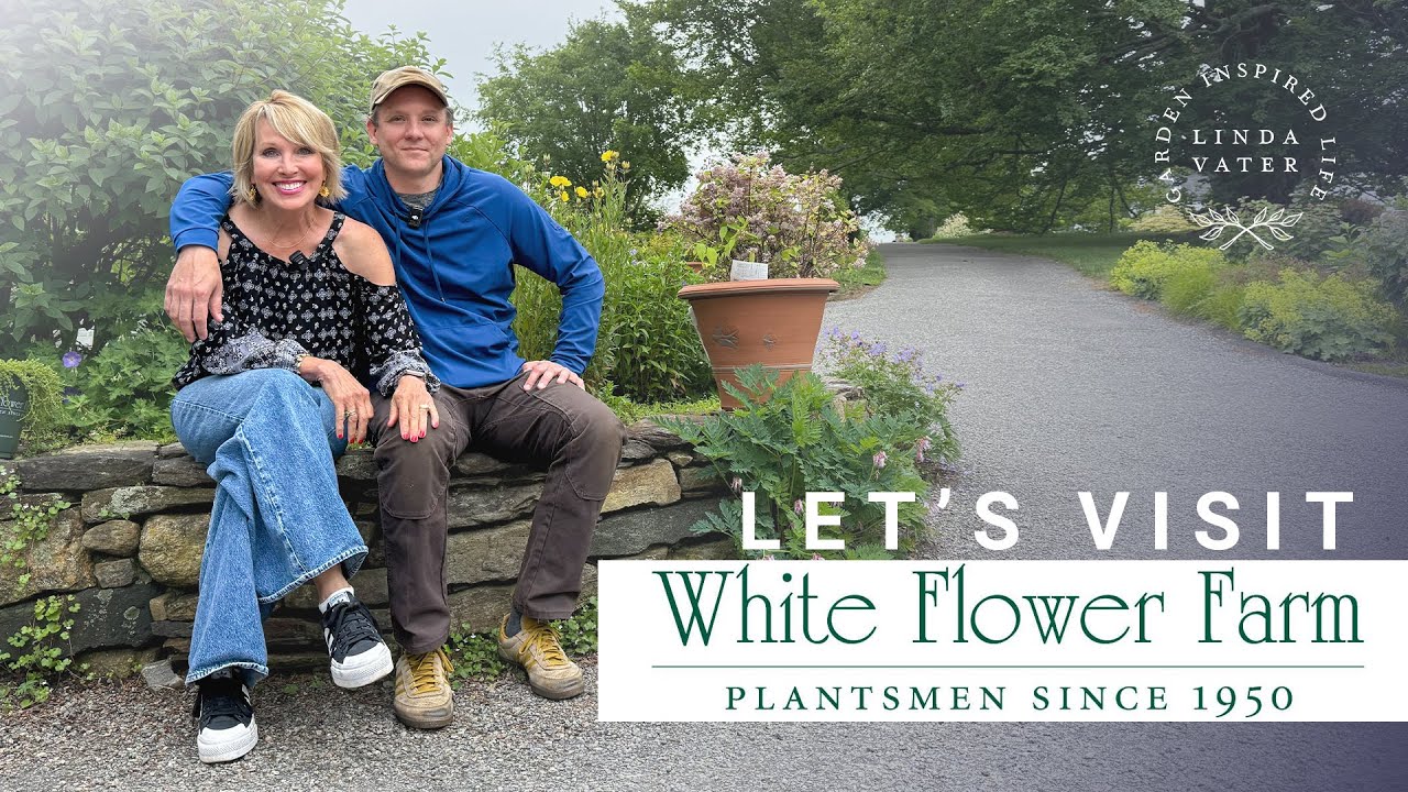 Me And White Flower Farm Go Way Back  🌿