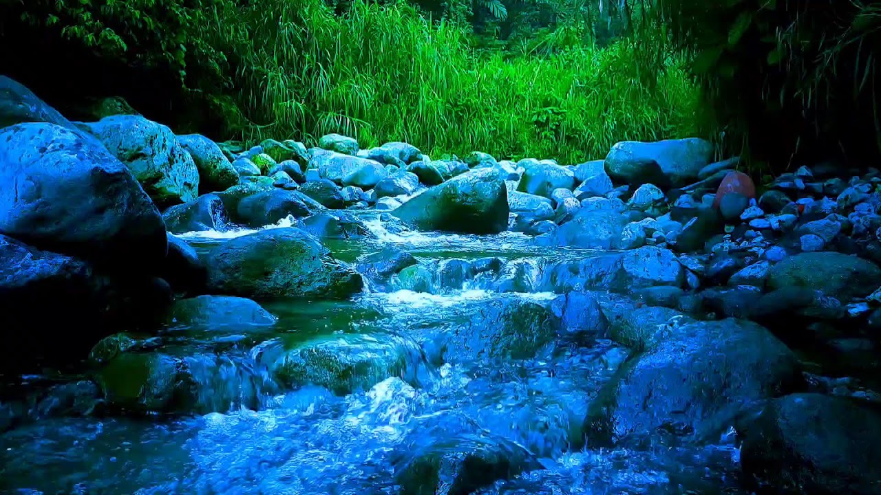 🍃 Silent Night River ASMR Sounds for Deep Sleep, Relaxation & Calm Mind