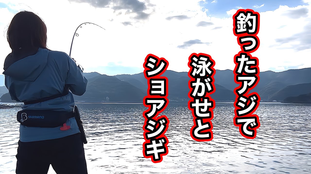 アジングで釣ったアジで大物を狙う、釣り狂いOLの休日