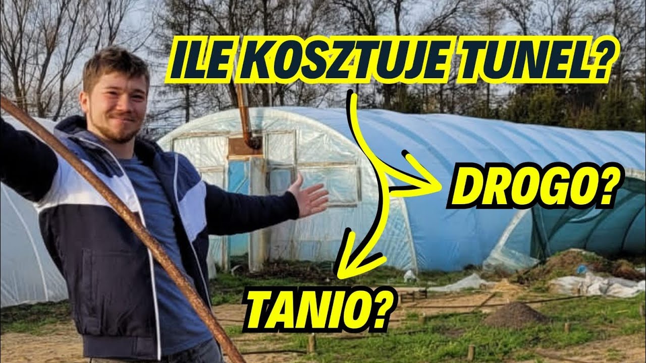 Ile kosztuje budowa tunelu 30x7m? Koszt tunelu foliowego produkcyjnego