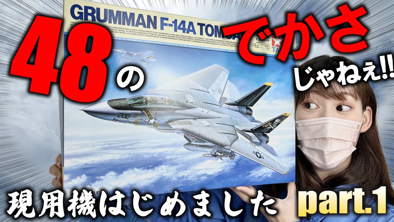 【トムキャット】F-14Aの武器が多すぎる！ちまちま作業ばっかりでごめんね、しかも懲りずにコンパウンド使ってるよ