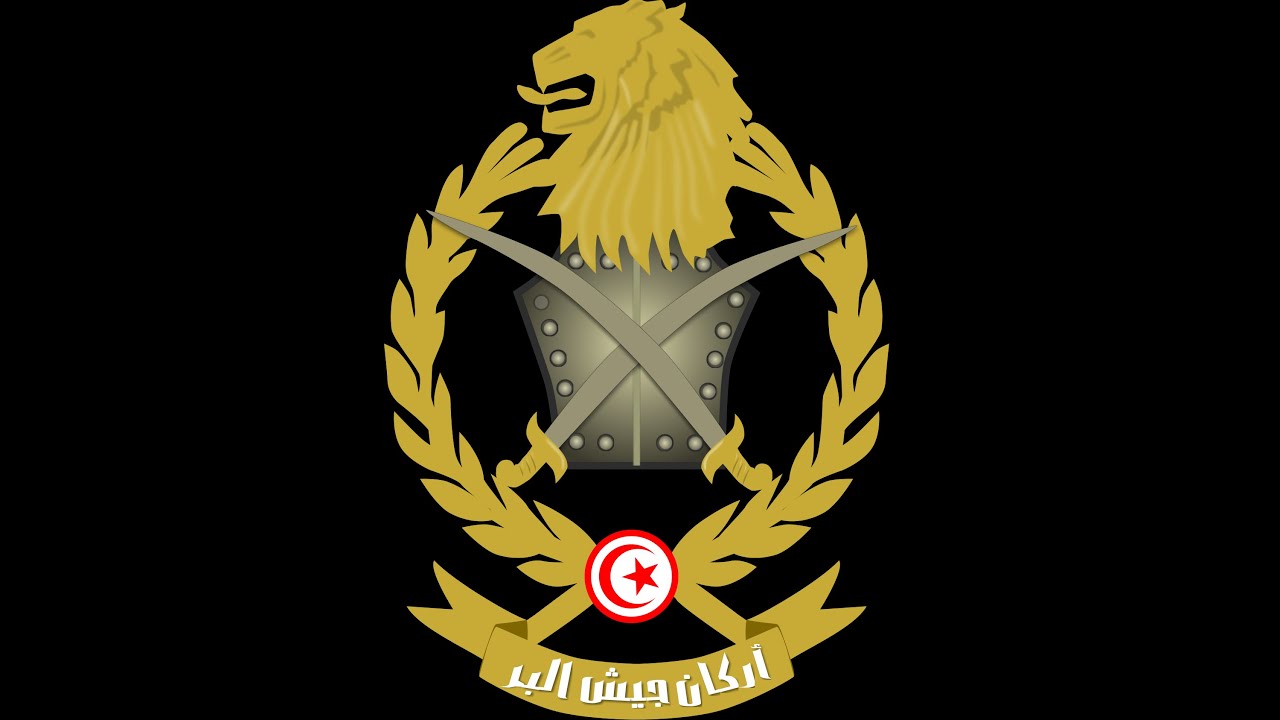 NEWS   La naissance d'une nouvelle industrie d'armement Tunisienne !