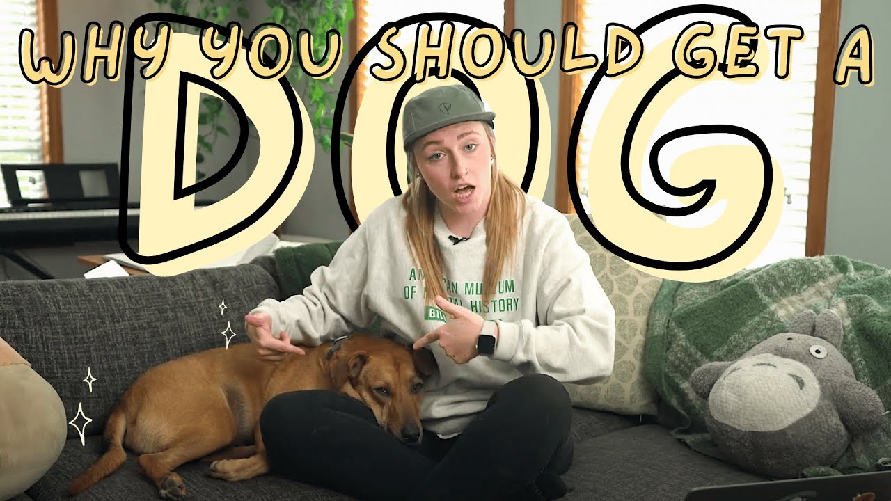 Почему людям с СДВГ или аутизмом выгодно иметь собаку 🐶🌻