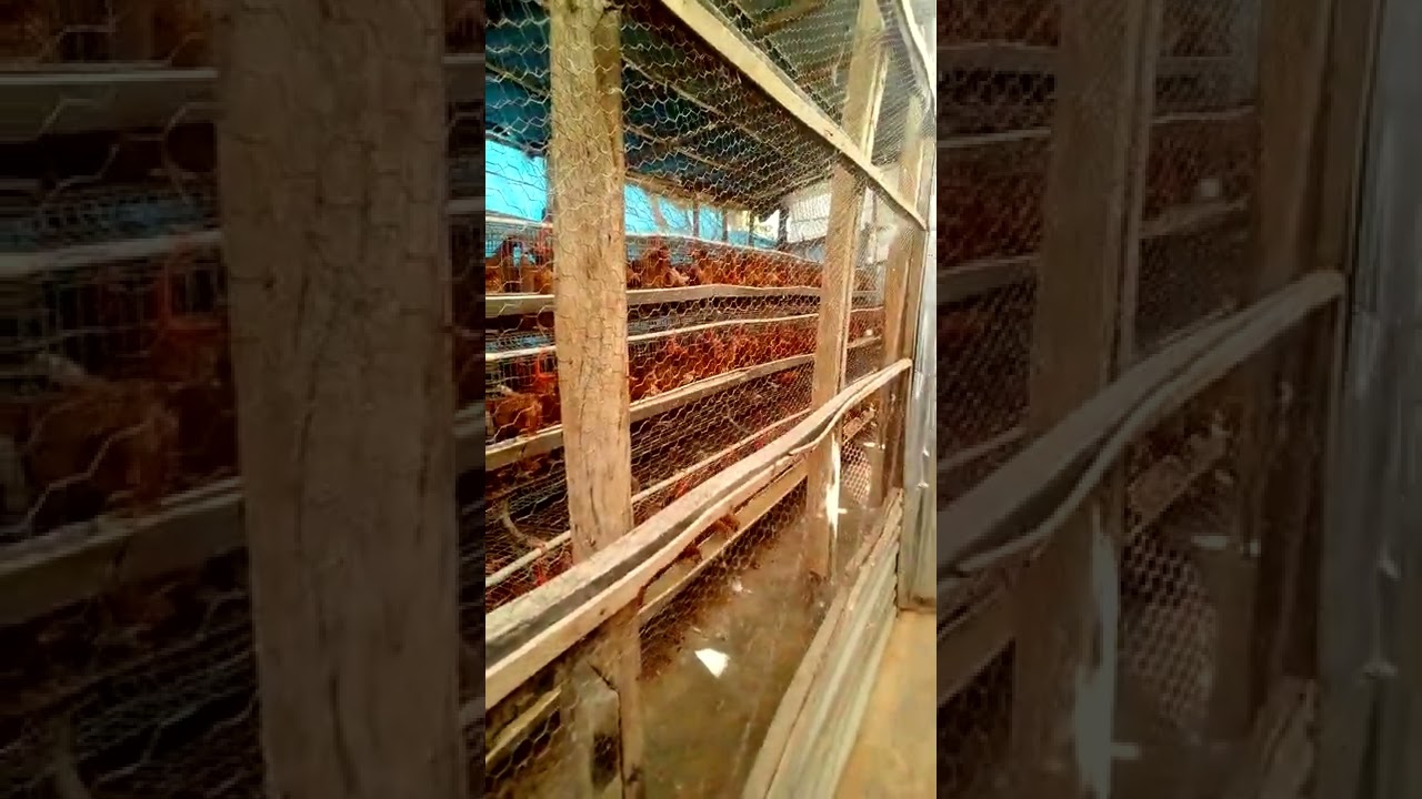 Bestyield Farms