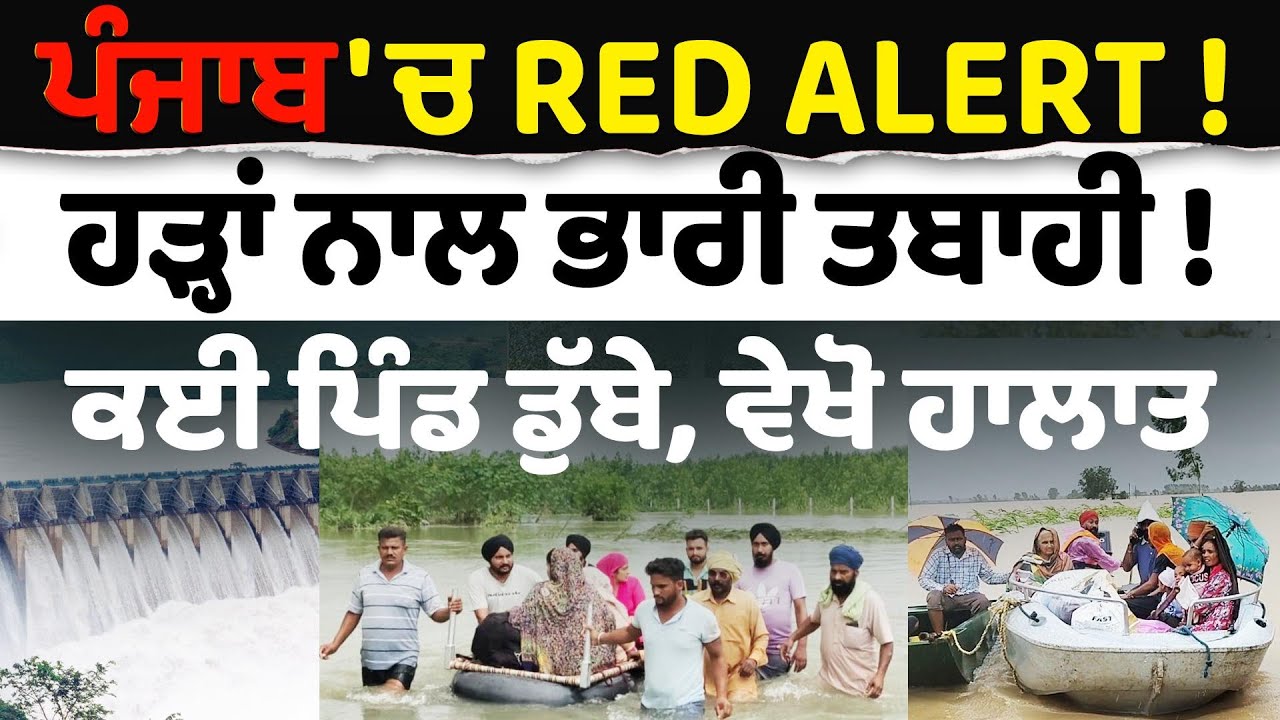 Punjab Flood Update (01) || ਪੰਜਾਬ 'ਚ HIGH ALERT, ਹੜ੍ਹਾਂ ਨਾਲ ਭਾਰੀ ਤਬਾਹੀ ! ਕਈ ਪਿੰਡ ਡੁੱਬੇ, ਵੇਖੋ ਹਾਲਾਤ