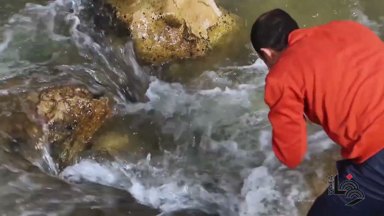 رحلة استكشاف للطبيعة من عين سامية في كفر مالك شمال شرق رام الله حتى نبع العوجا في أريحا