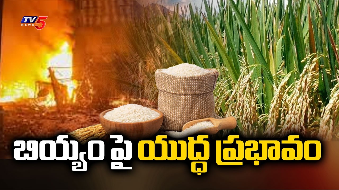 బియ్యం పై యుద్ధ ప్రభావం | US- Iran War Effect On Sona Masuri Rice | TV5 News
