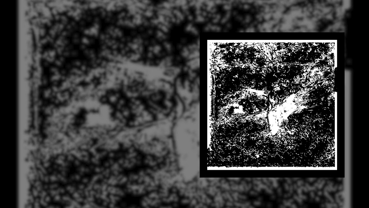Baase - All Them Broken Sticks