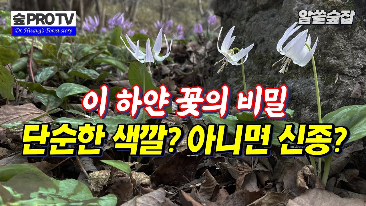 식물 이름에 숨겨진 5가지 비밀 코드!