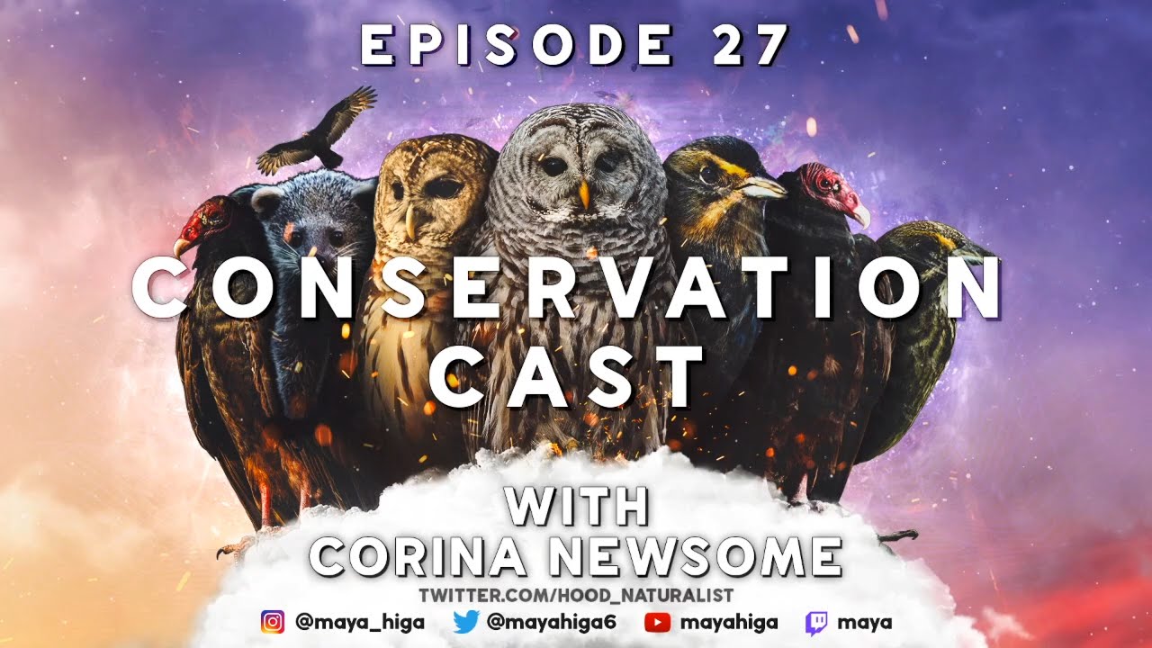CONSERVATION CAST Ep. 27: Corina Newsome