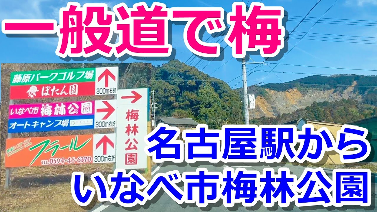 【一般道で梅】名古屋駅からいなべ市梅林公園までドライブ【三重県】