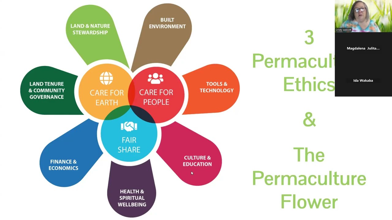 Permaculture Basics 020626