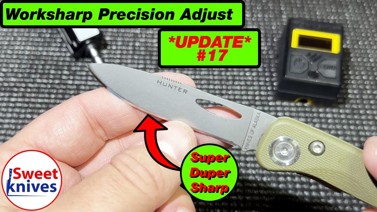 Sharpen like a Pro: Mastering D2 Steel with Work Sharp Precision Adjust