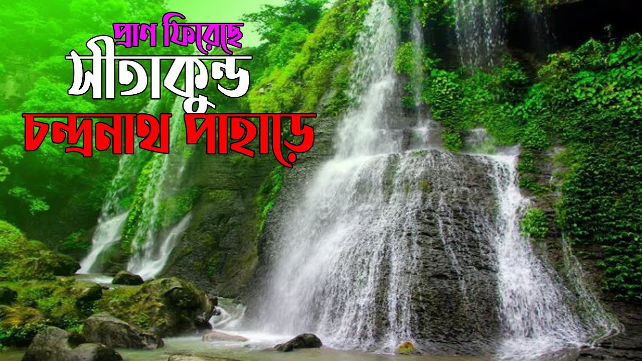 পর্যটক শূন্য চন্দ্রনাথ ধামে মেতেছে বনমোরগ আর প্রজাপতি || Ekushey ETV