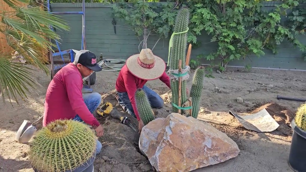 Large Palm Springs Landscape Transformation!