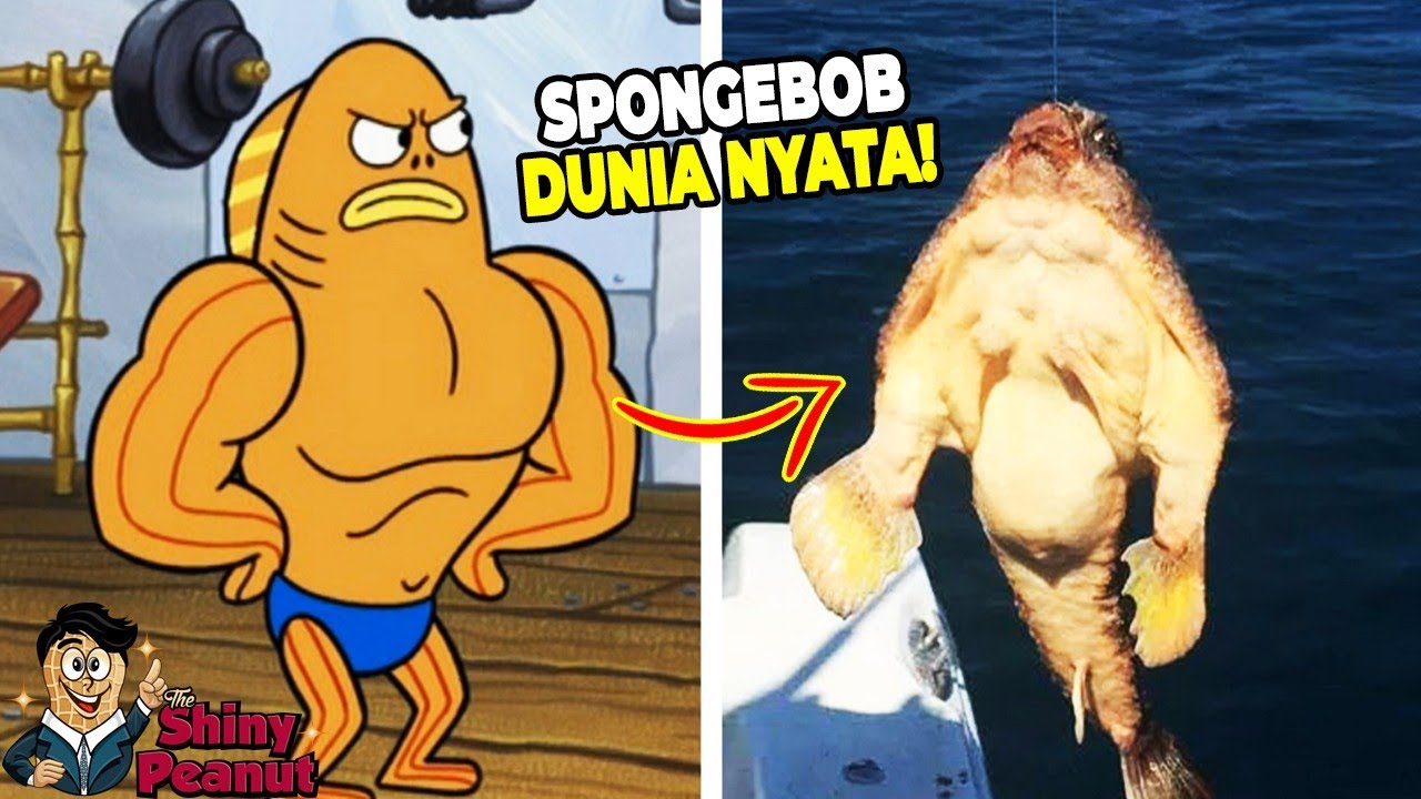 Aslinya Beneran Kekar?! Inilah Karakter Film SpongeBob di Dunia Nyata