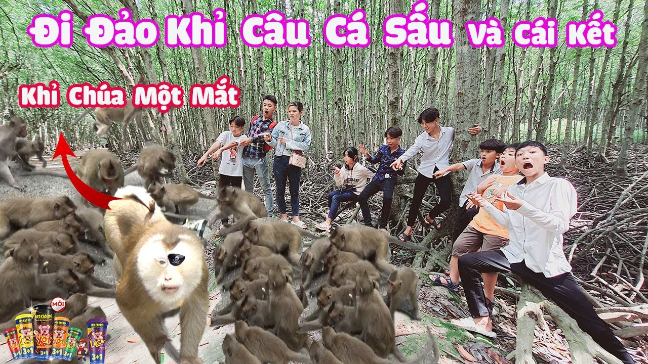 Lần Đầu Đi Đảo Khỉ Cần Giờ Gặp Khỉ Chúa Câu Cá Sấu Cùng Xúc Xích Heo Cao Bồi [ Trang And Vinh ]