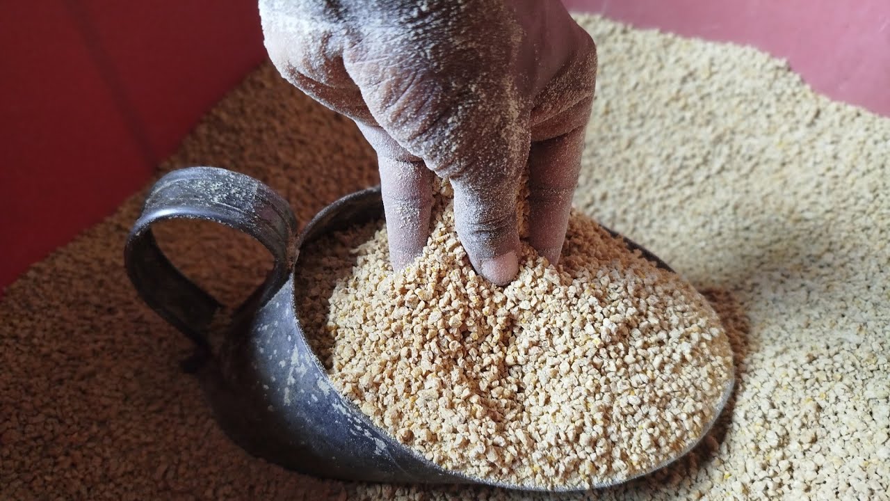Farelo de Arroz: O Segredo para Alimentar Patos e Porcos com Qualidade e Economia! 🦆🐖🌾