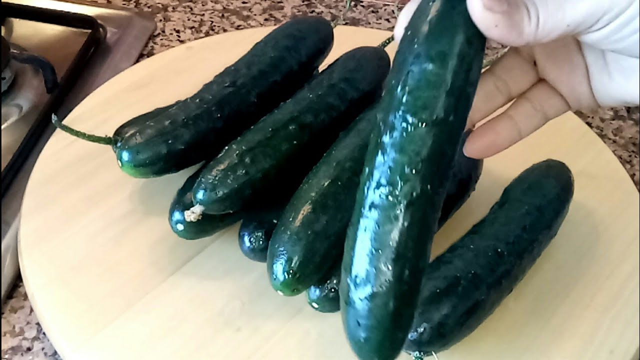 عندك خيار بكمية كبيرة؟دخلي شوفي آش تقدري ديري بيه☝☝👌👌👍👍