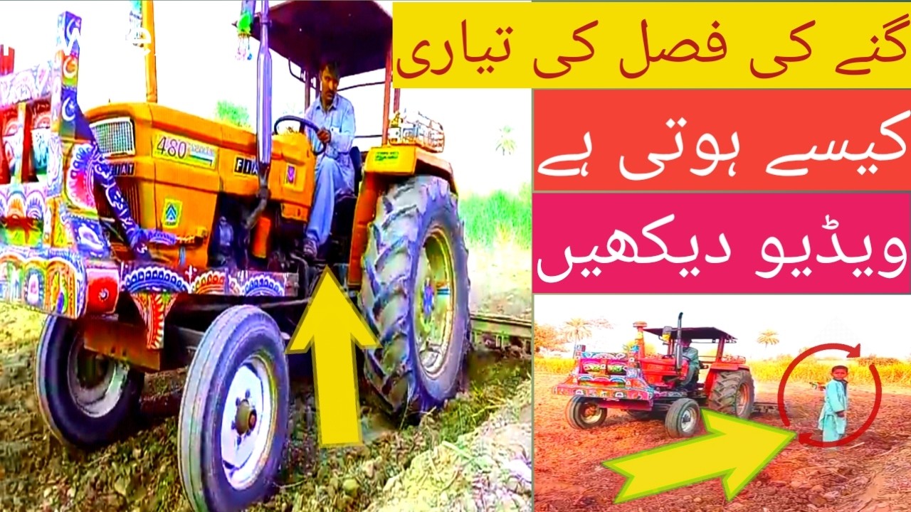 #foryou  tractor per HAL Kaise Chalte Hain Dekhen video Pak village Punjab video like subscribe