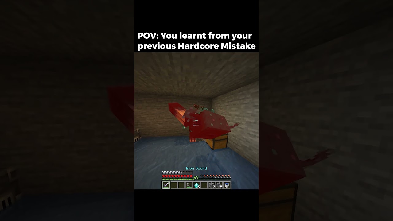 You Never Learnt To Make Mistakes in Minecraft Hardcore