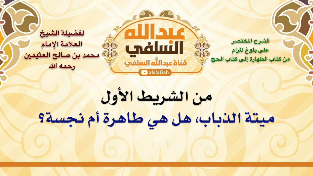 الشيخ ابن عثيمين : ميتة الذباب، هل هي طاهرة أم نجسة؟