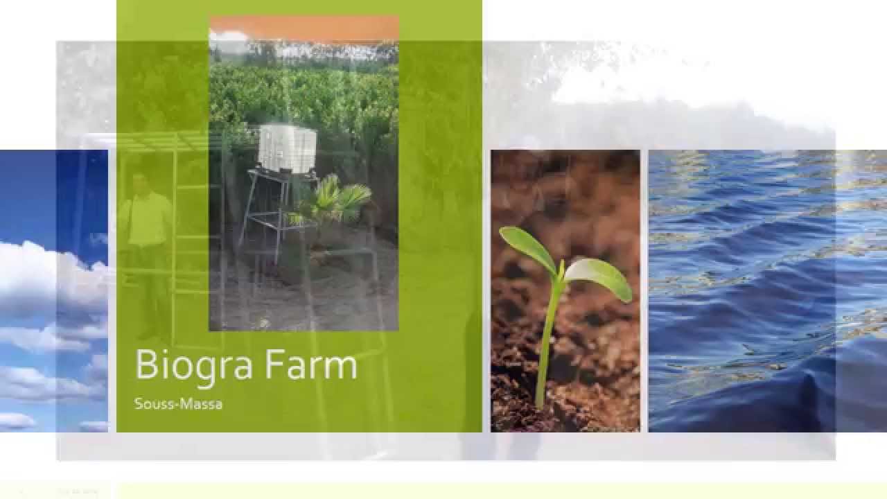 ALTER ENERGY MAROC BIOGRA FARM - SOUSS-MASSA
