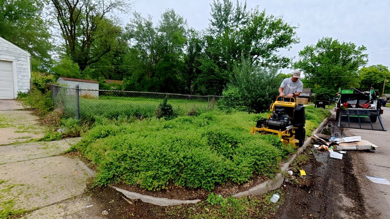 Neighborhood SHOCKED At This Lawn Transformation After Grandma Passed Away