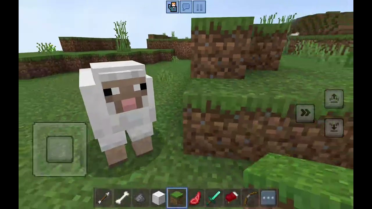 8 de fevereiro de 2026