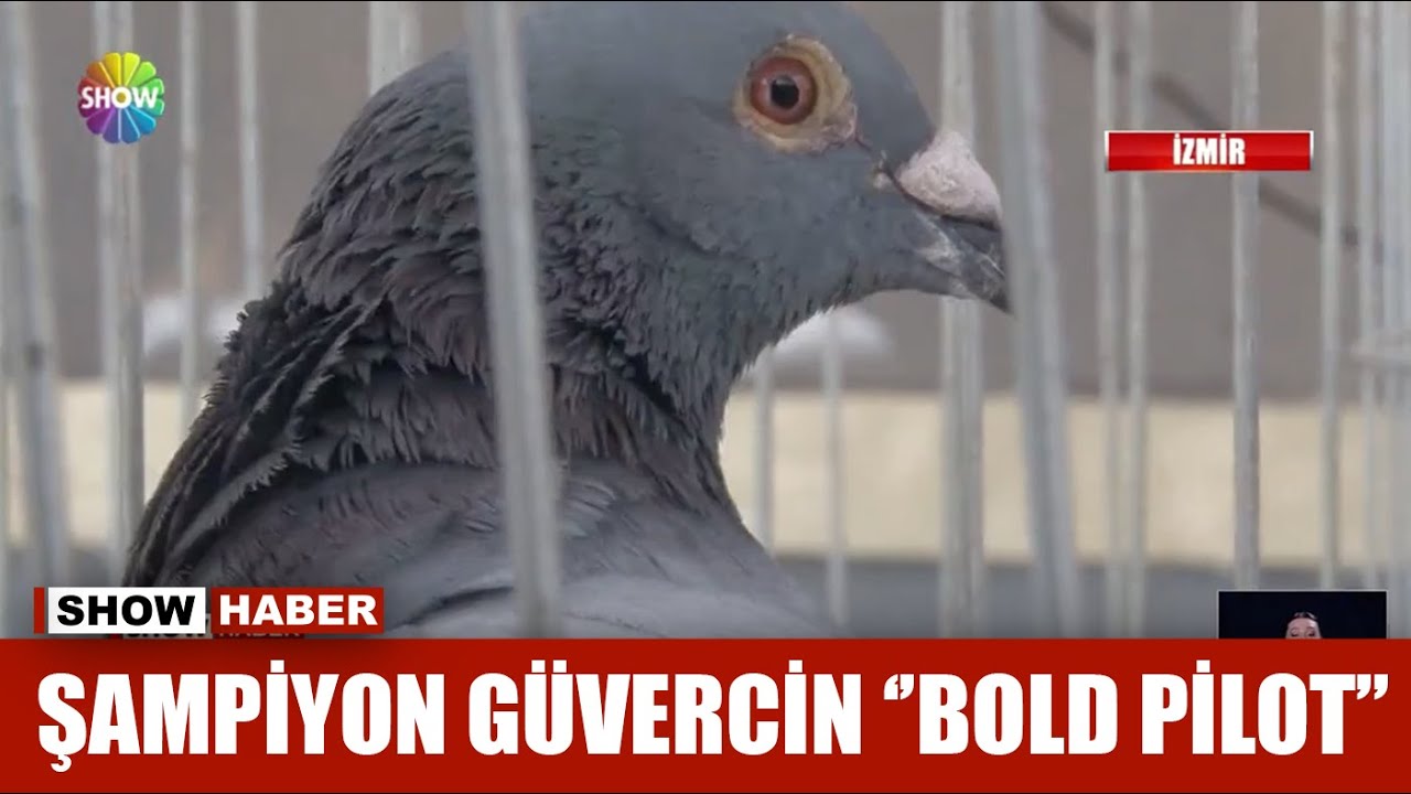 1010 kilometreyi bir g&uuml;nde u&ccedil;tu