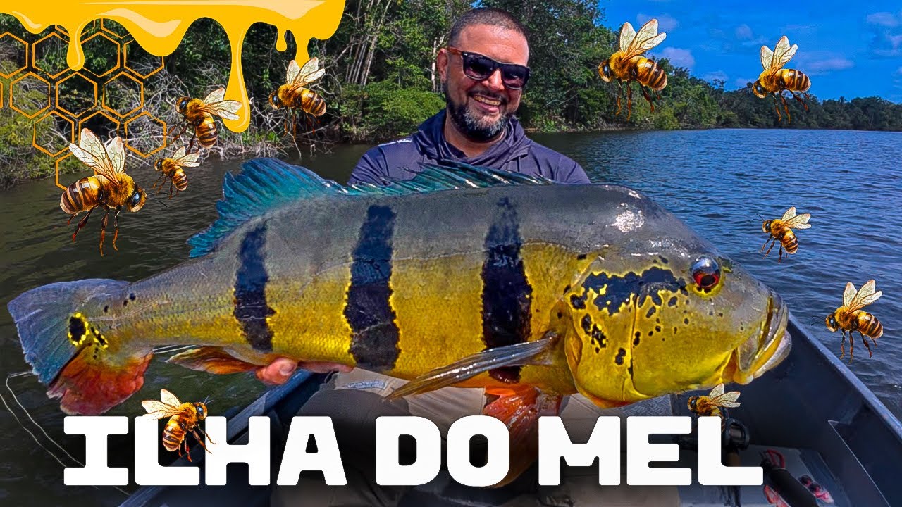 PARTE 02 ILHA DO MEL - BARCELOS UM DOS MELHORES DESTINOS NA AMAZ&Ocirc;NIA, PROGRAMA PURA PESCA.