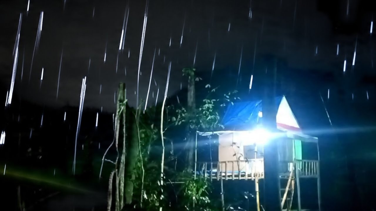 Di guyur hujan deras, camping di hutan 
