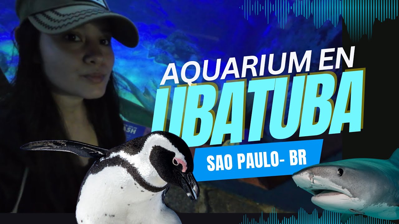PINGÜINOS Y TIBURONES | Aquiarium Ubatuba São Paulo 