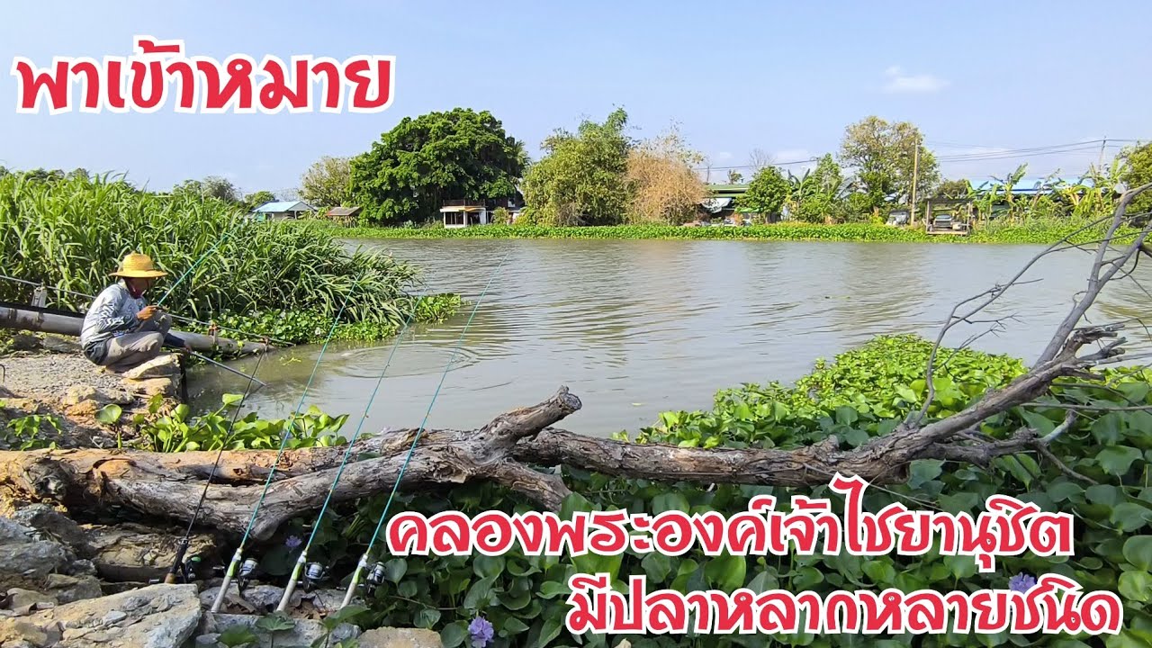 พาเข้าหมายธรรมชาติ⚠️⚠️ คลองพระองค์เจ้าไชยานุชิต บางบ่อสมุทรปราการ📍