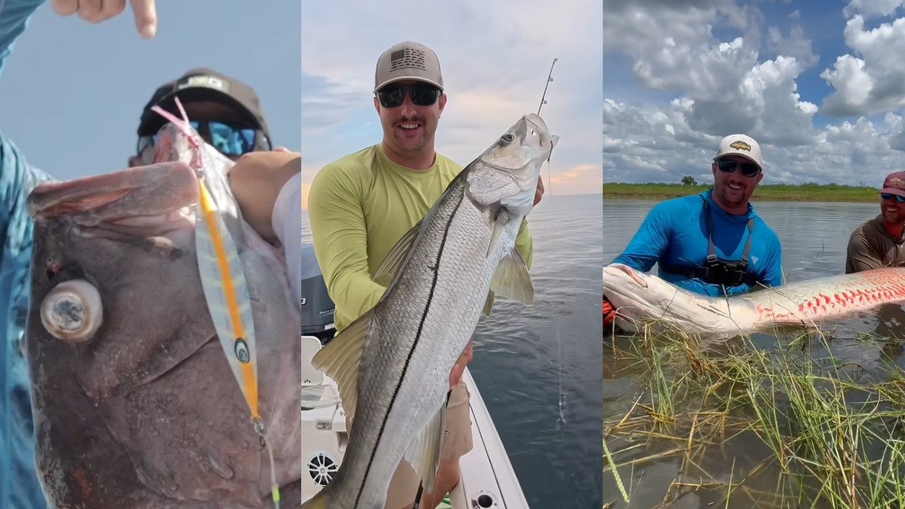 MONSTER FISH! Compilation of Insane Catches | TikTok Compilation
