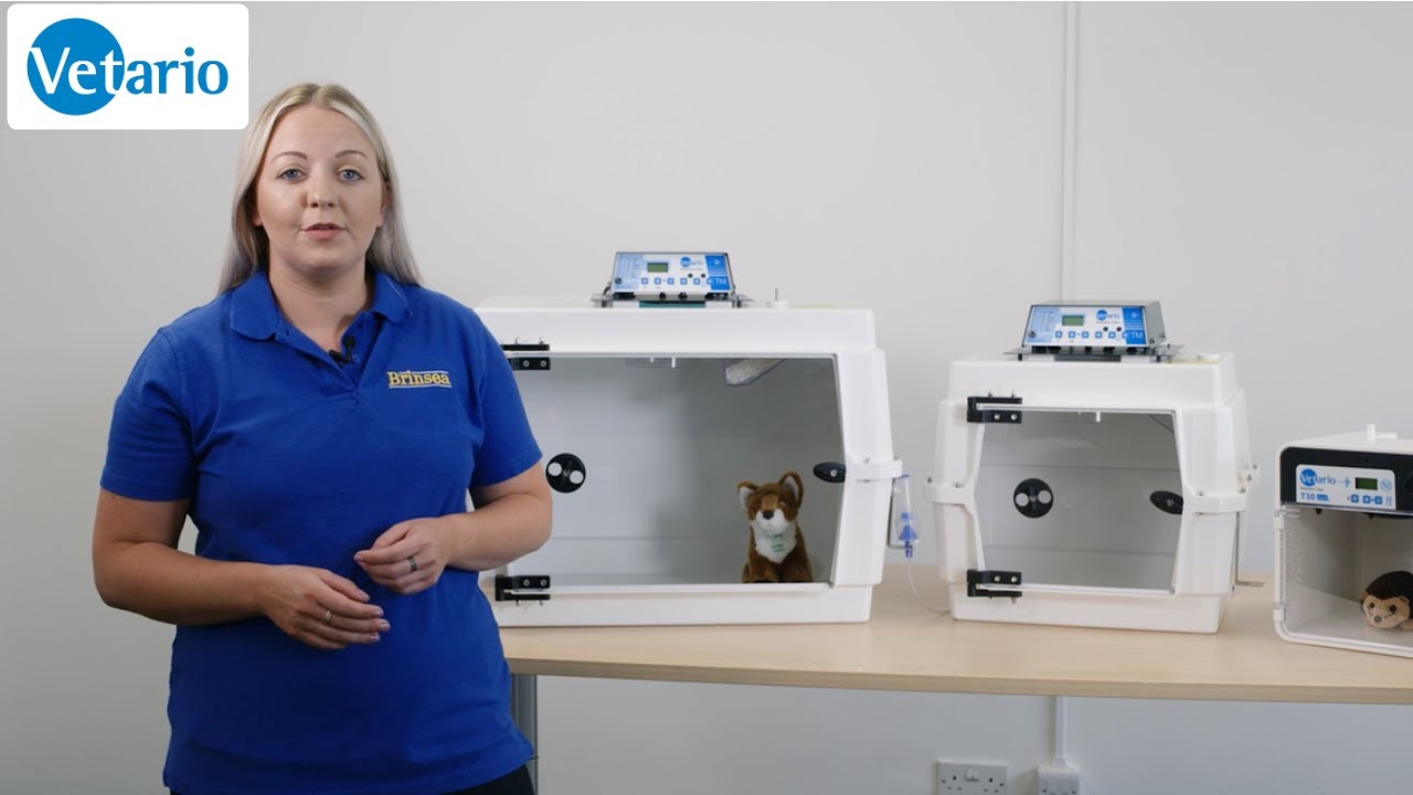 Vetario Small Animal Intensive Care Units - First Choice for Veterinary Intensive Care