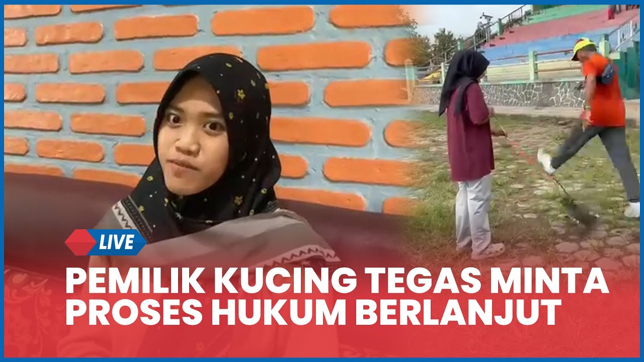 🔵Tolak Damai, Pemilik Mintel Tegas Minta Proses Hukum Lanjut Meski Pelaku Tawari Ganti Kucing Persia
