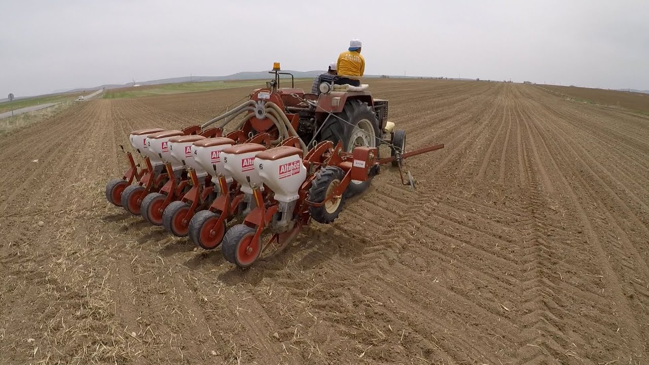 Şeker pancarı ekimi! Steyr 768. Altınöz havalı mibzer.
