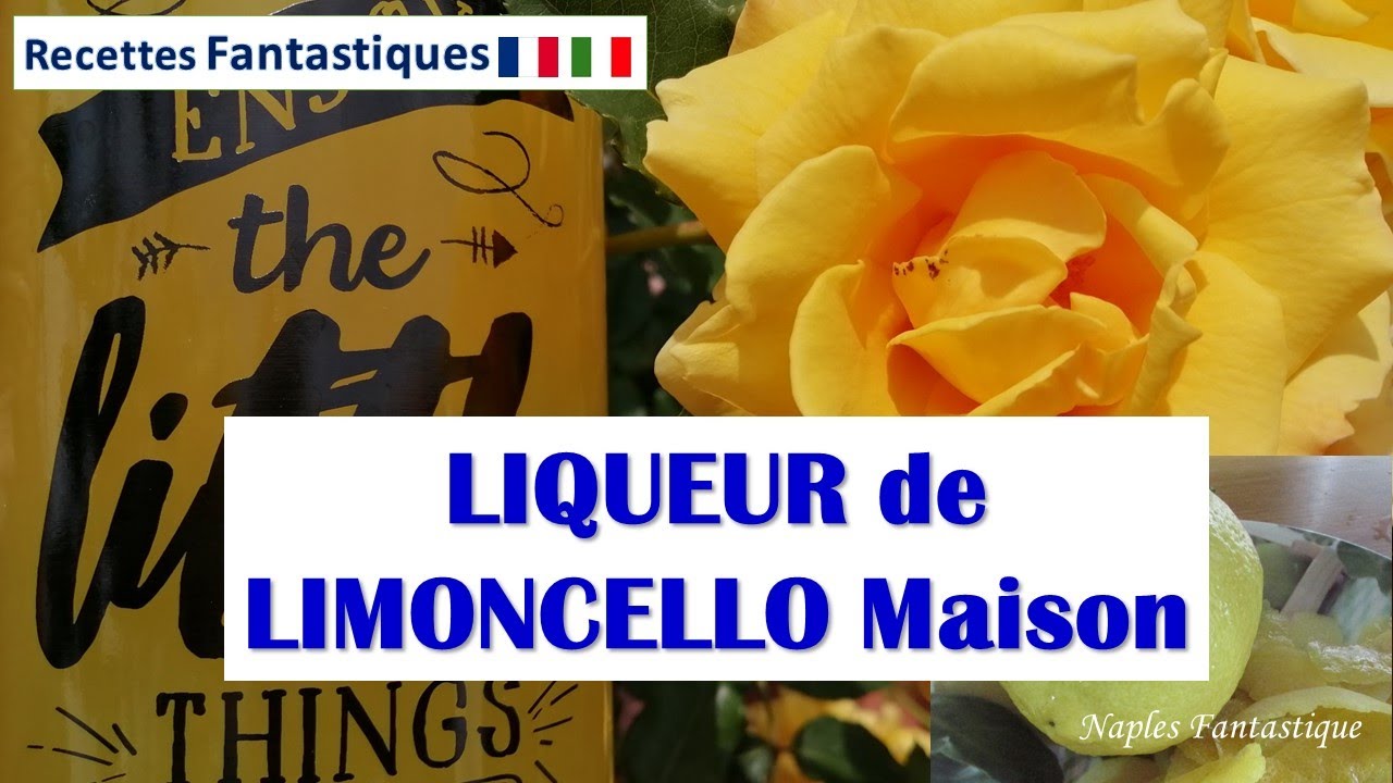 𝙇𝙄𝙈𝙊𝙉𝘾𝙀𝙇𝙇𝙊 fait maison 🇮🇹 Recette FACILE avec photos  #limoncello