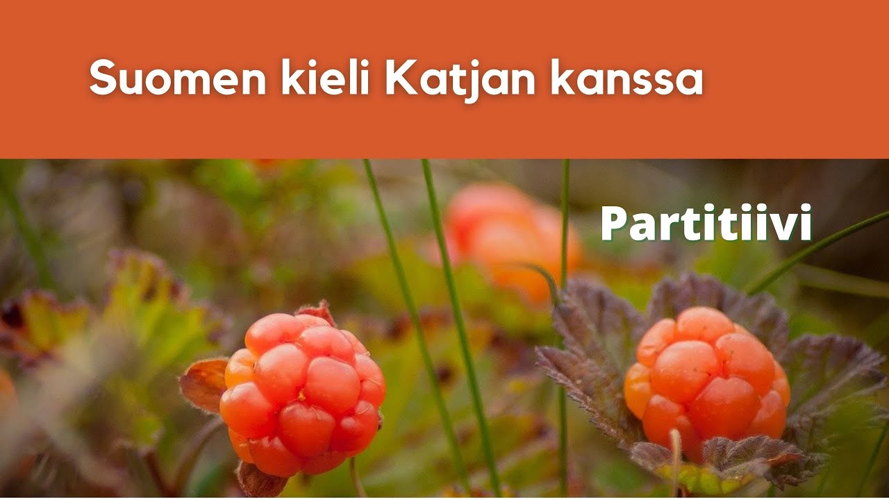 Partitiivi | Suomen kieli Katjan kanssa
