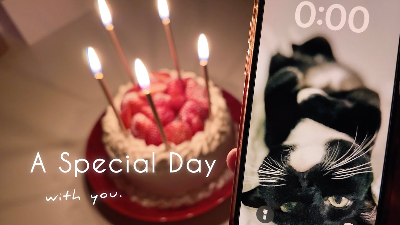 おうちで過ごす、ちょっと特別な2日間｜猫と暮らす夫婦Vlog
