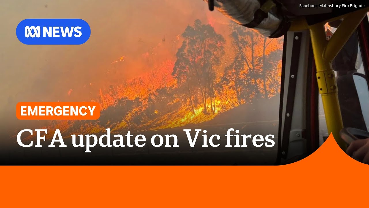 Firefighters battling multiple out-of-control blazes across Victoria | ABC NEWS