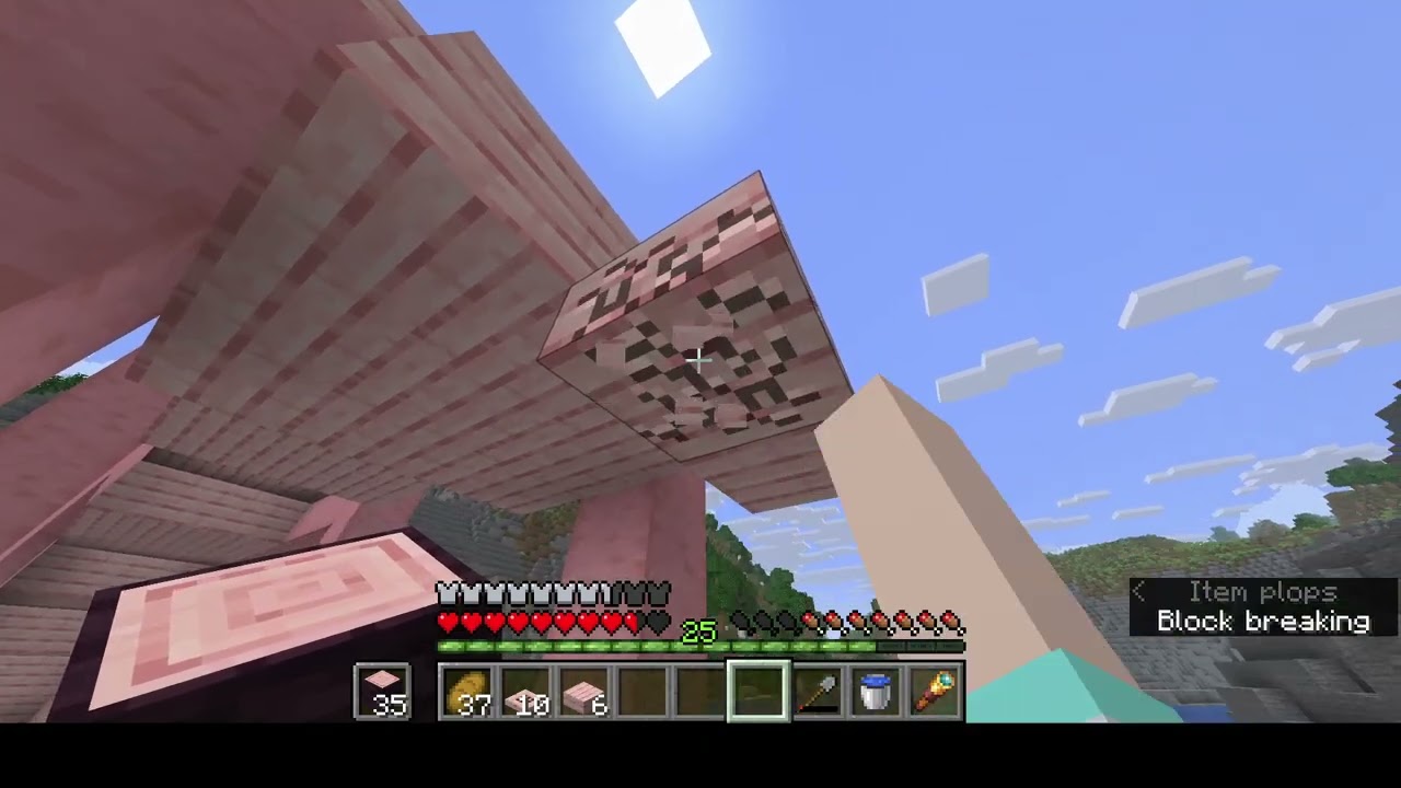 Minecraft Part 9